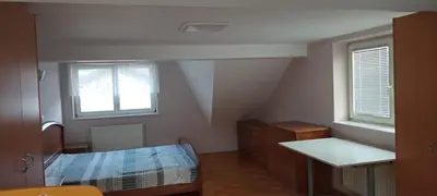 a bedroom with a bed and a desk and two windows at Vila Bbq in Ljubljana