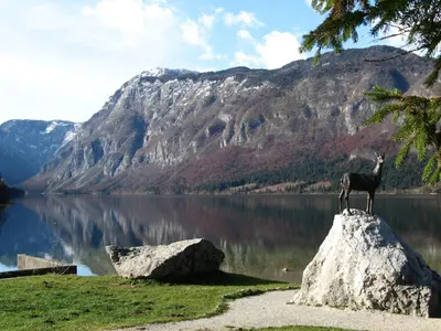a goat standing on a rock in front of a lake at Apartments Na Vasi in Bohinj