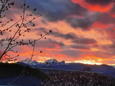 a sunset with a snowy mountain in the background at Garden Paradise Bled Apartments - garden, pond and castle view in Bled