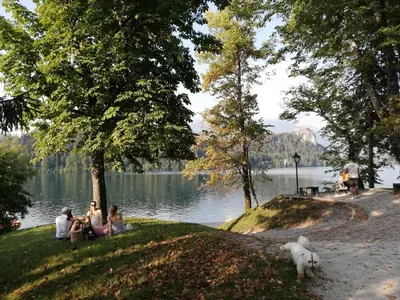 a group of people sitting on the grass near a lake at Two Angels in Bled