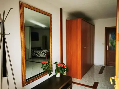 a mirror on a wall with flowers on a table at Krasen Kras Apartment in Komen