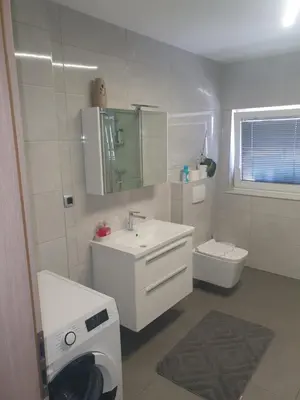 a white bathroom with a sink and a toilet at Sanja apartment near to Ljubljana in Preserje pri Radomljah