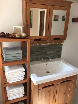 a bathroom with a sink and a shelf with towels at Hillside Bio Resort Delux Apartments in Šešče pri Preboldu