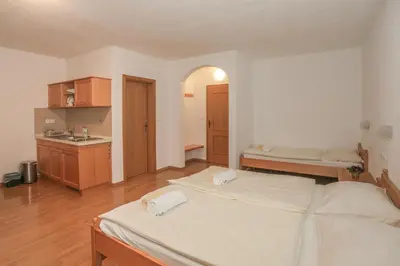 a bedroom with two beds and a sink in it at Farm Holidays Povsin in Bled