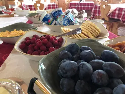 a table topped with bowls of berries and other foods at Guesthouse Draga in Begunje na Gorenjskem