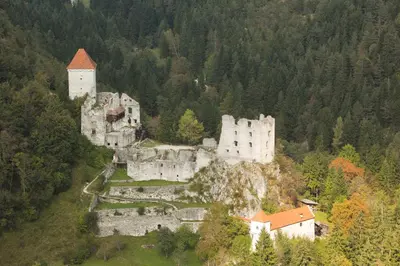 an old castle in the middle of a forest at Guesthouse Draga in Begunje na Gorenjskem