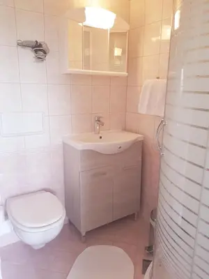 a white bathroom with a toilet and a sink at Wine House Kaloh in Maribor