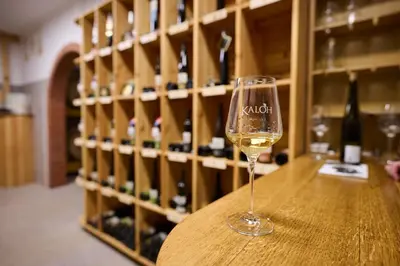 a wine glass sitting on a table in a wine cellar at Wine House Kaloh in Maribor