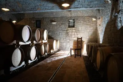 a room with a bunch of barrels in a building at Guest House Valentincic in Nova Gorica