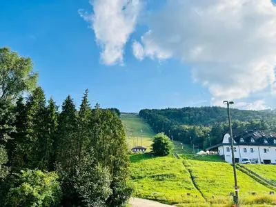 a grassy hill with houses and a street light at Villa Mari I in Maribor