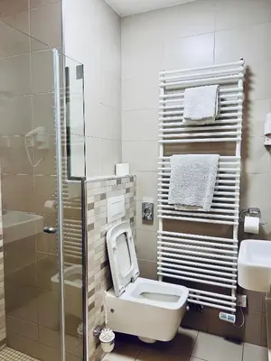 a bathroom with a toilet and a sink at Villa Mari I in Maribor