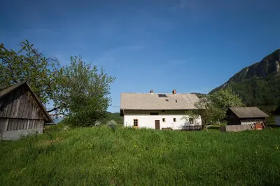 Gallery image of Pr' Kovač apartments in Bohinjska Bela