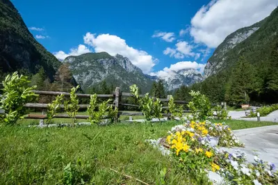 a field of flowers next to a fence with mountains at House DorMica in Trenta