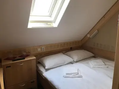 a bedroom with two beds and a skylight at GLUTEN FREE Bed & Breakfast Dežela Okusov in Ljubljana