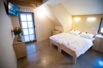 a bedroom with a large bed and a television at GLUTEN FREE Bed & Breakfast Dežela Okusov in Ljubljana