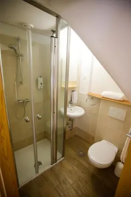 a bathroom with a shower and a toilet at GLUTEN FREE Bed & Breakfast Dežela Okusov in Ljubljana
