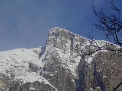 a snow covered mountain with a tree in front of it at Apartma Vilma in Kobarid