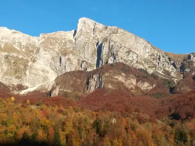 a mountain with fall foliage in front of it at Apartma Vilma in Kobarid