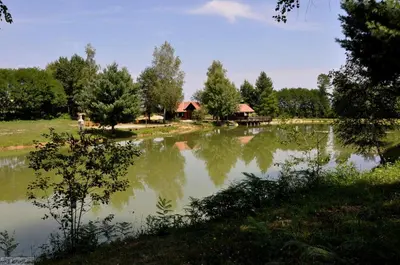a large pond with a house in the background at Apartma Kolpa in Gradac