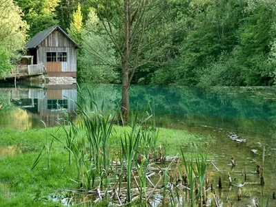 a house in the middle of a lake with a tree at Apartma Kolpa in Gradac