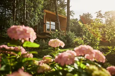 a bunch of pink flowers in front of a house at Theodosius Forest Village - Glamping in Vipava valley in Vipava