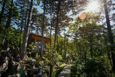 a house in the woods with a path at Theodosius Forest Village - Glamping in Vipava valley in Vipava