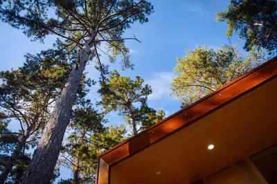 a view of trees from the roof of a house at Theodosius Forest Village - Glamping in Vipava valley in Vipava