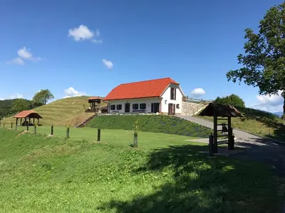 a house on top of a grassy hill at Tourist farm Artisek in Štore