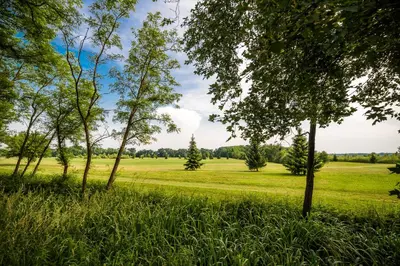 a field of grass with trees in the foreground at Golf apartment with SPA tickets discount in Moravske Toplice