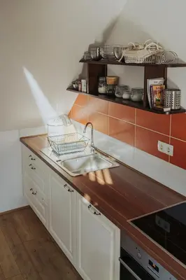 a kitchen with a sink and a counter top at Apartments Možinetova hiša in Šentjošt nad Horjulom