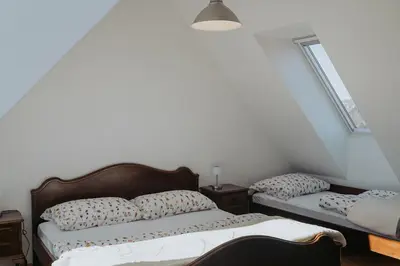a bedroom with two beds and two windows at Apartments Možinetova hiša in Šentjošt nad Horjulom