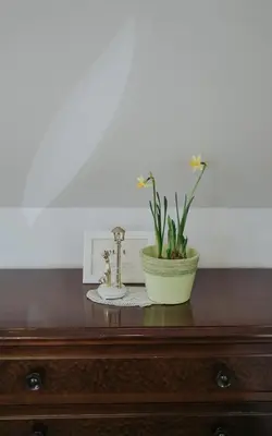 a wooden dresser with a plant on top of it at Apartments Možinetova hiša in Šentjošt nad Horjulom
