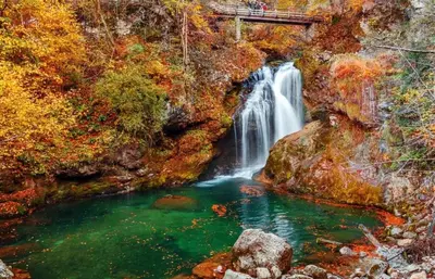 a waterfall with a bridge over a pool of water at Villa Dei Sogni in Bled