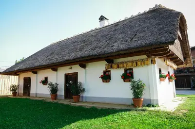 a white house with a thatched roof and potted plants at Hrgova hiška in Ptuj