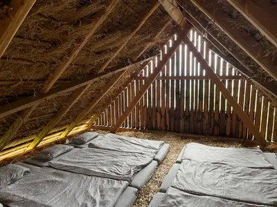 a attic with two beds in a room with a roof at Hrgova hiška in Ptuj