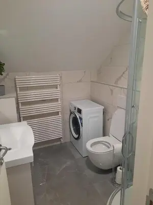 a bathroom with a toilet and a washing machine at Klass 302 in Kranjska Gora