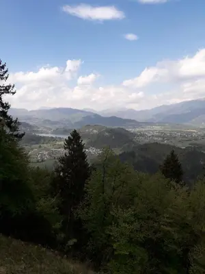 a view of a valley from a hill with trees at Apartments Justin in Bled