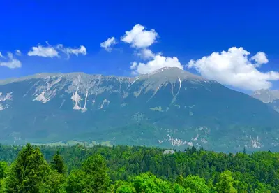 a mountain in the distance with trees in the foreground at Apartma AS in Bled