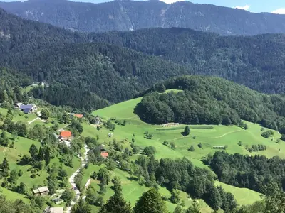 an aerial view of a green valley with trees at Pr' Grogori in Železniki