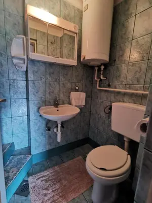 a bathroom with a toilet and a sink at Apartma Jerman in Kranjska Gora