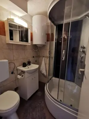a bathroom with a shower and a toilet and a sink at Apartma Jerman in Kranjska Gora