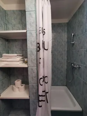 a bathroom with a shower curtain and a bath tub at Apartma Jerman in Kranjska Gora