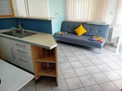 a kitchen and living room with a couch and a sink at Apartma Peter1a in Begunje na Gorenjskem