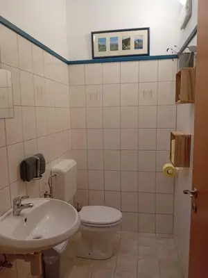 a bathroom with a toilet and a sink at Apartma Peter1a in Begunje na Gorenjskem