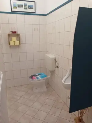 a bathroom with a toilet and a sink at Apartma Peter1a in Begunje na Gorenjskem