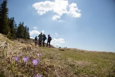 a group of people walking up a hill with purple flowers at Lake Peak Apartments, Ribniško Pohorje in Ribnica na Pohorju
