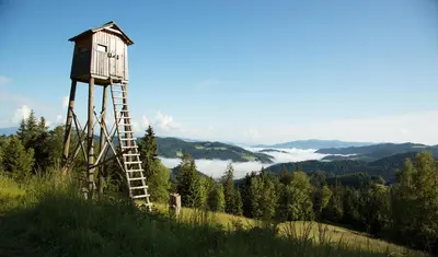 a tree house on top of a hill with a ladder at Lake Peak Apartments, Ribniško Pohorje in Ribnica na Pohorju