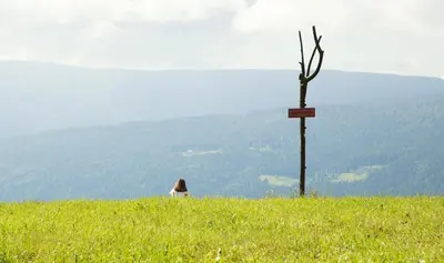 a person sitting on top of a grassy hill at Lake Peak Apartments, Ribniško Pohorje in Ribnica na Pohorju