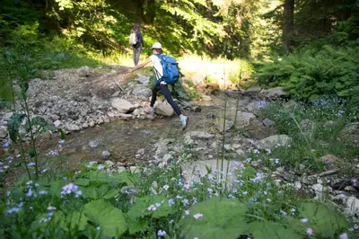 a man walking on a trail in the woods at Lake Peak Apartments, Ribniško Pohorje in Ribnica na Pohorju