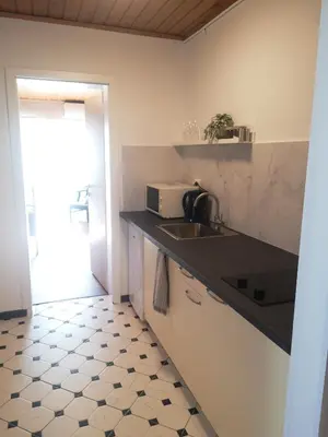 a kitchen with a sink and a counter top at Vas Lipa 8 - 36 in Podčetrtek